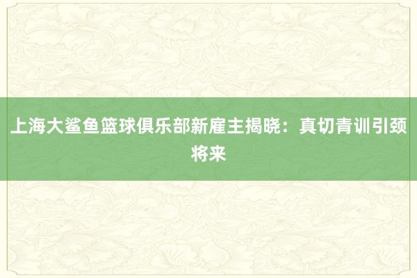 上海大鲨鱼篮球俱乐部新雇主揭晓：真切青训引颈将来